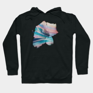 Holographic colors Flower Hoodie